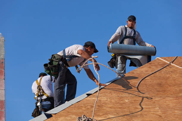 Best Roof Restoration Services  in El Dorado Springs, MO